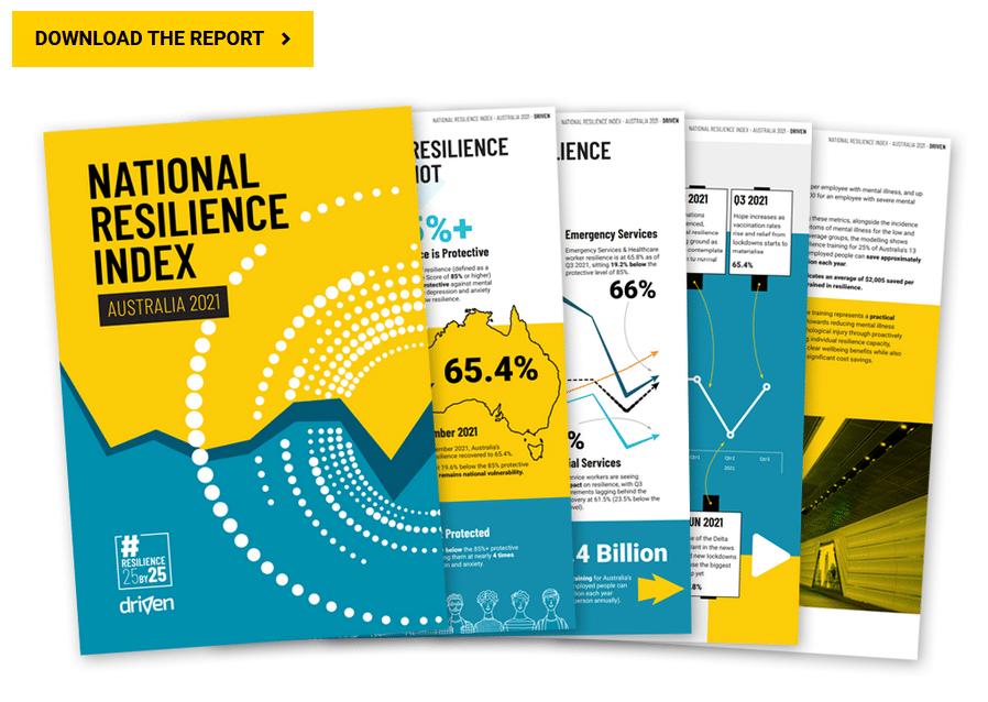 Report writing: National Resilience Index, Australia 2021